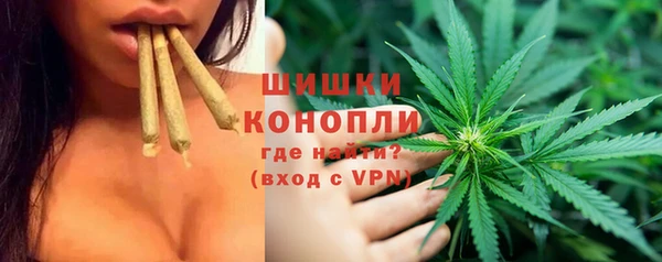 дмт Надым