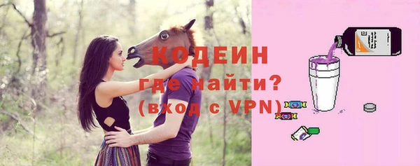 дмт Надым