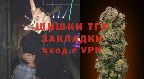 индика Верхний Тагил