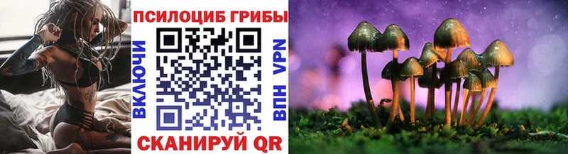 Галлюциногенные грибы Cubensis  Берёзовский 